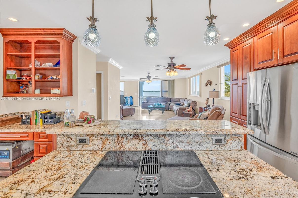 Interior, Kitchen, Living room, Pendant Lights, Recessed Lighting, Stainless Steel Appliances