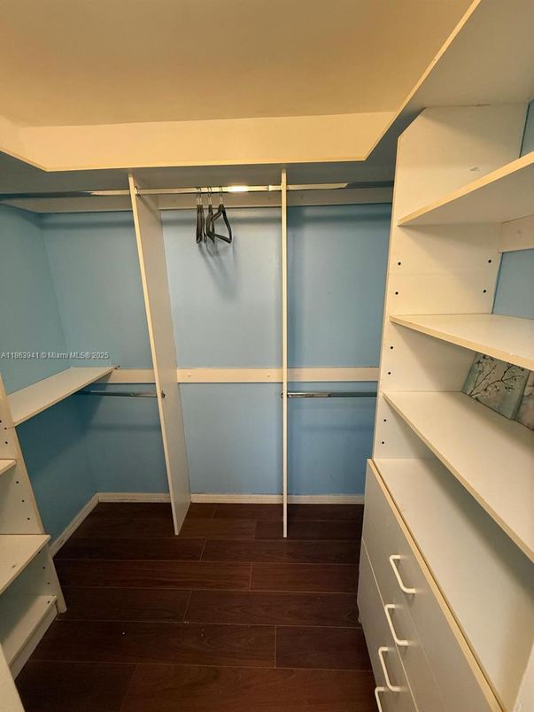 Interior, Walk-in Closets, Wood Texture Flooring