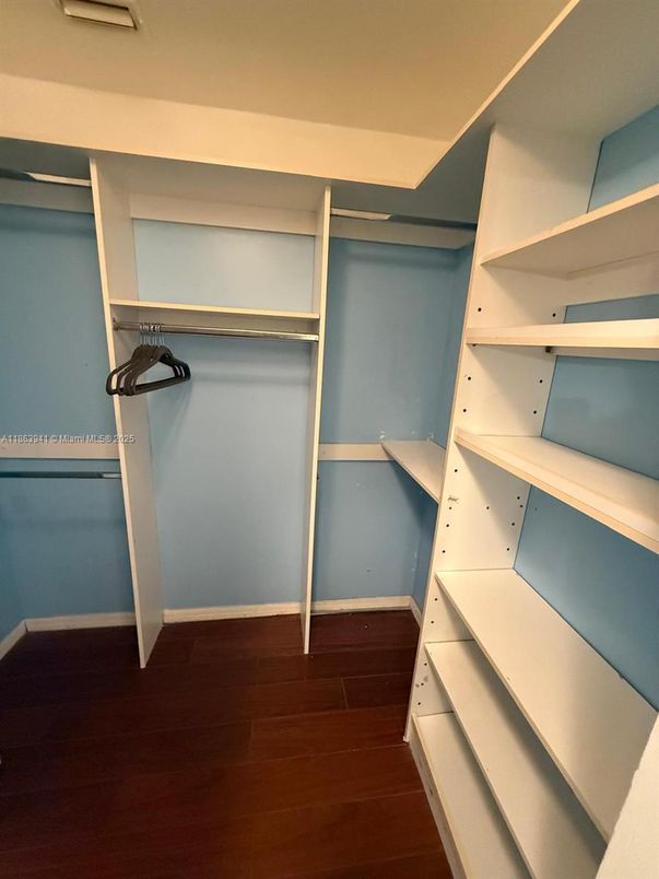 Interior, Walk-in Closets, Wood Texture Flooring