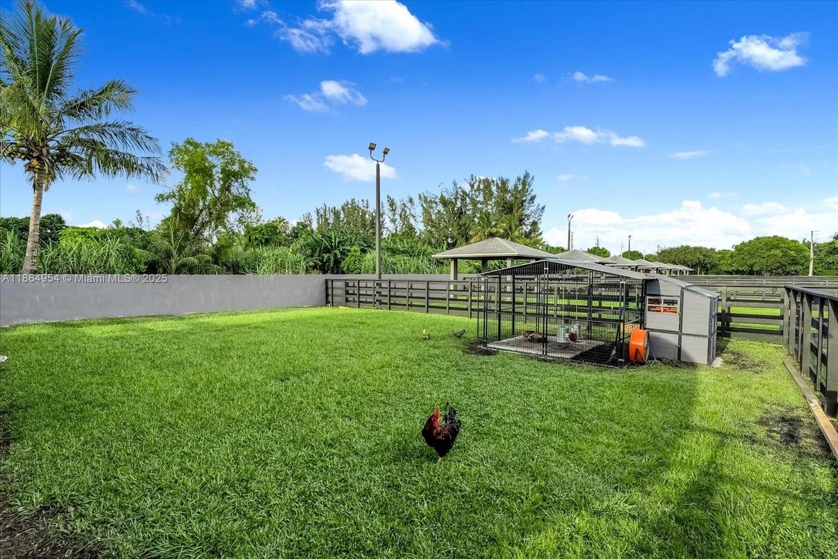 Backyard, Exterior