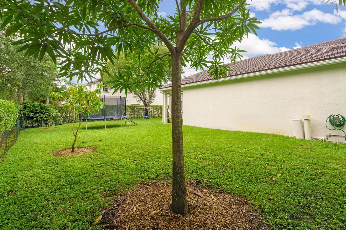 Backyard, Exterior, Playground