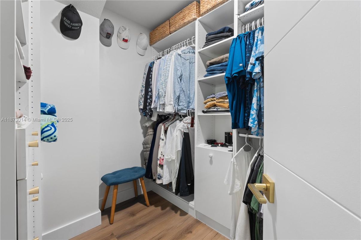 Interior, Walk-in Closets, Wood Texture Flooring