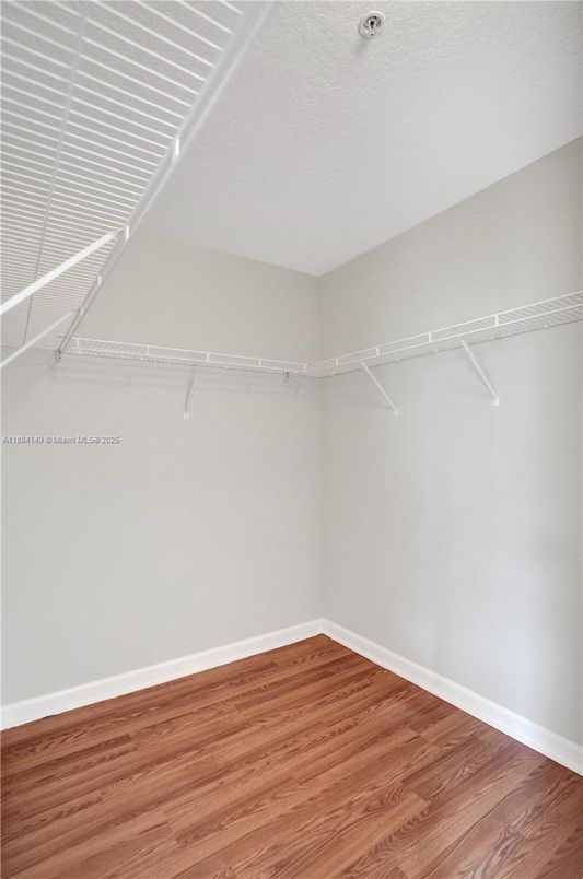Interior, Walk-in Closets, Wood Texture Flooring