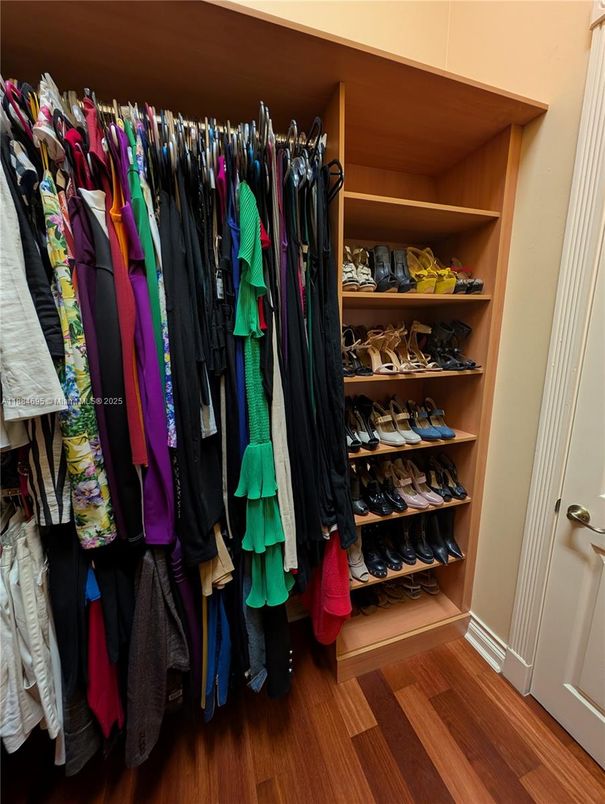 Interior, Walk-in Closets, Wood Texture Flooring