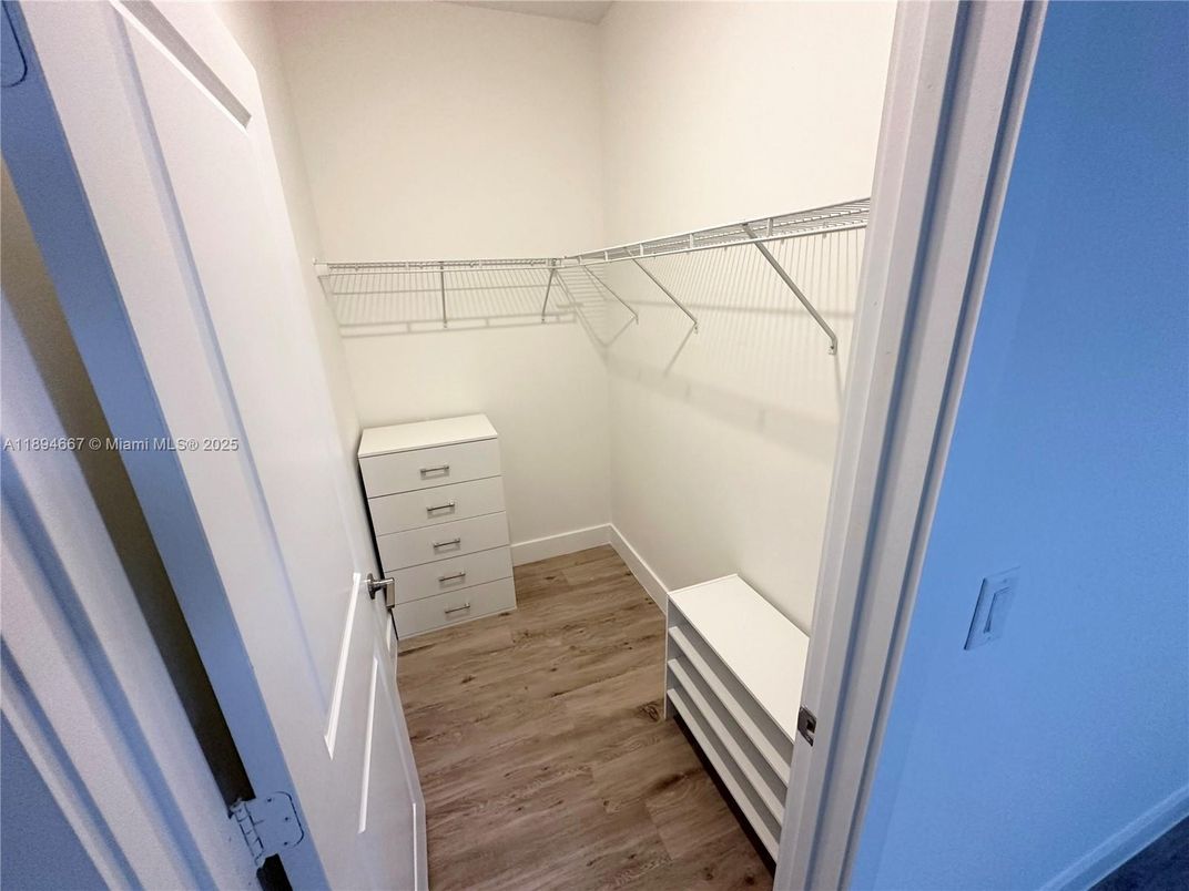 Interior, Walk-in Closets, Wood Texture Flooring