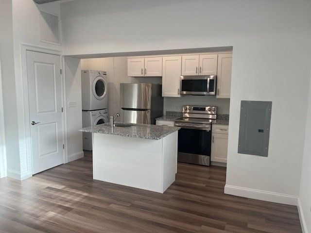 Interior, Kitchen, Stainless Steel Appliances, Washer, Wood Texture Flooring