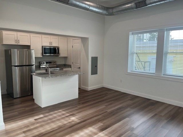 Interior, Kitchen, Stainless Steel Appliances, Wood Texture Flooring