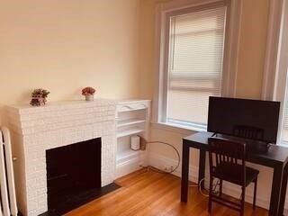 Fireplace, Interior, Wood Texture Flooring