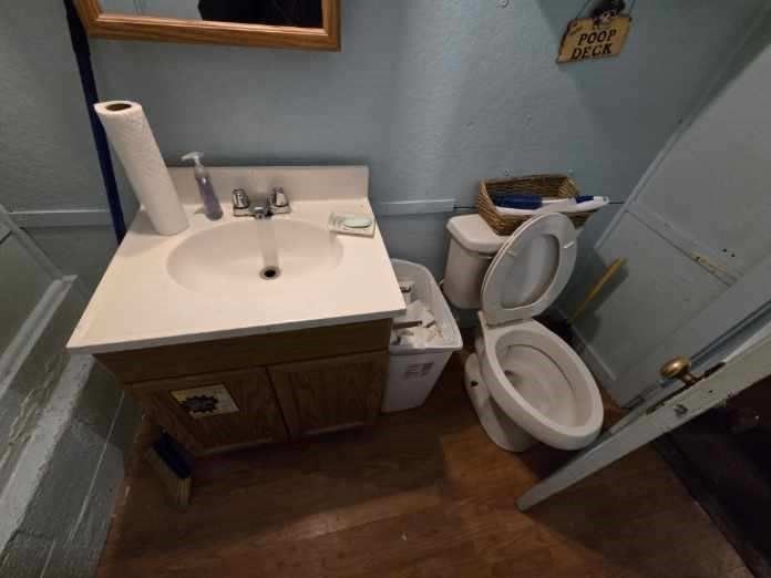 Bathroom, Interior, Wood Texture Flooring