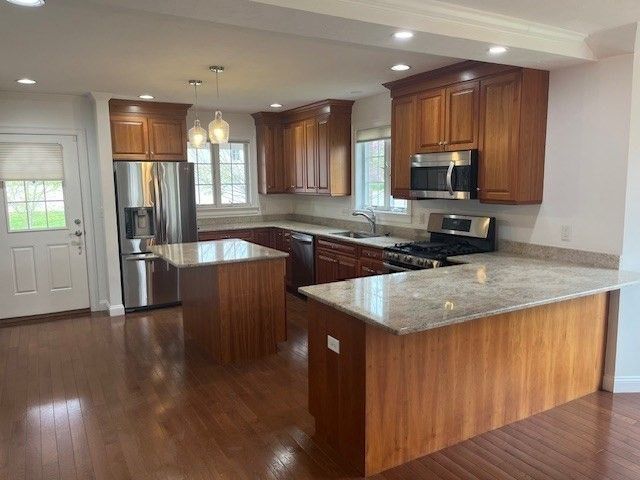 Interior, Kitchen, Pendant Lights, Recessed Lighting, Stainless Steel Appliances, Wood Texture Flooring