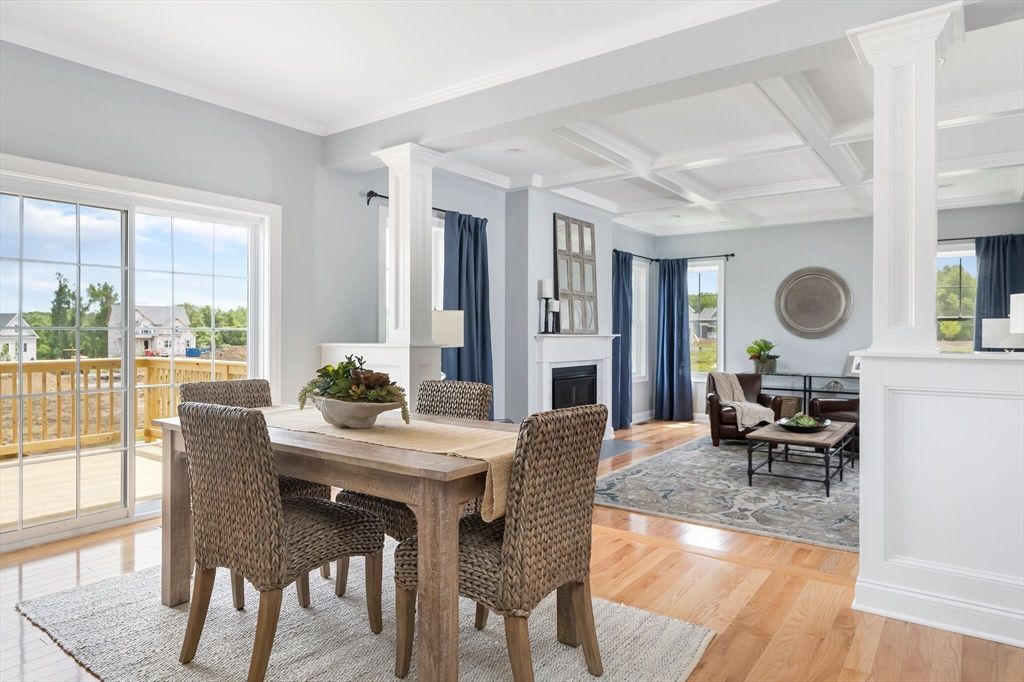 Dining room, Fireplace, Interior, Wood Texture Flooring