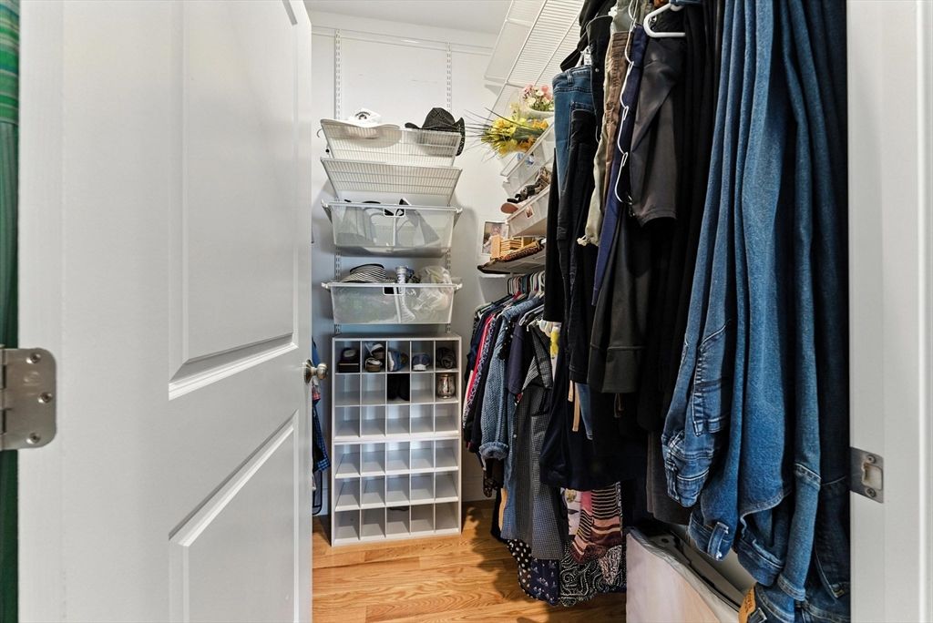Interior, Walk-in Closets, Wood Texture Flooring