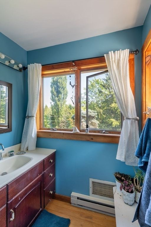 Bathroom, Interior, Wood Texture Flooring