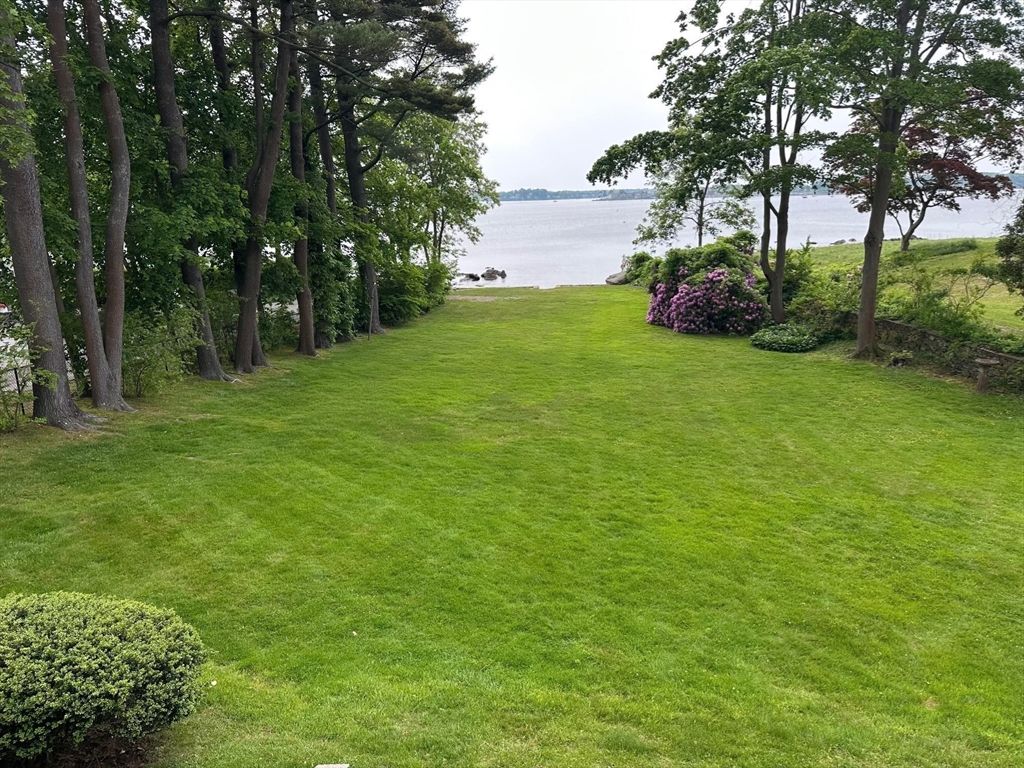 Backyard, Exterior, Water