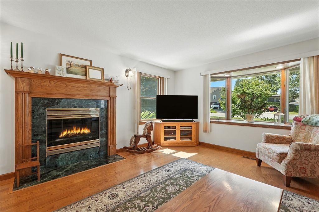 Fireplace, Interior, Wood Texture Flooring