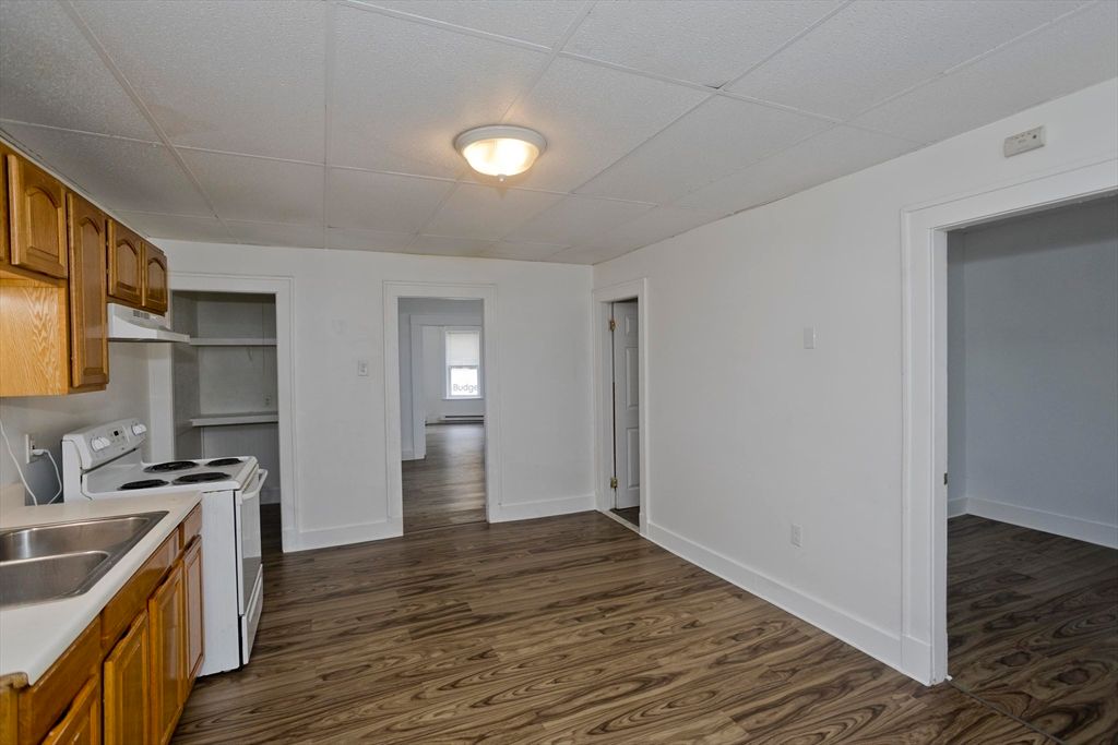 Interior, Kitchen, Washer, Wood Texture Flooring