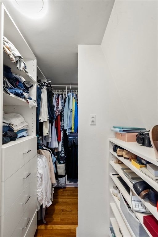 Interior, Walk-in Closets, Wood Texture Flooring