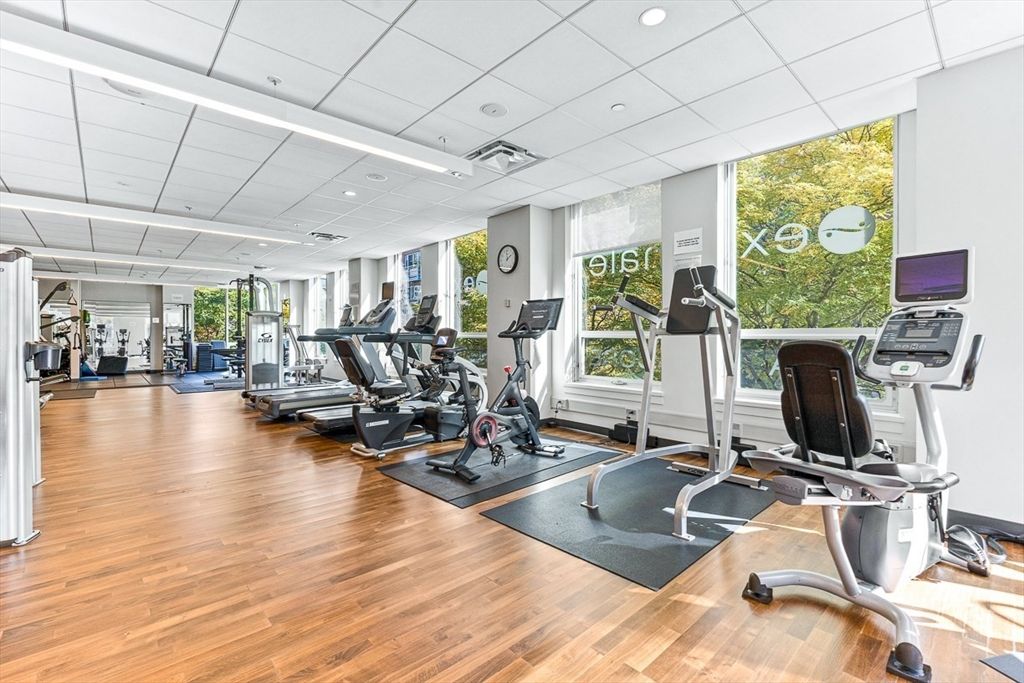 Fitness Equipment, Gym, Interior, Recessed Lighting, Wood Texture Flooring
