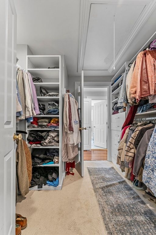 Interior, Walk-in Closets, Wood Texture Flooring