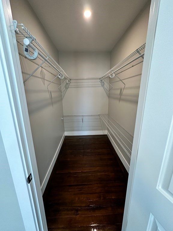 Interior, Recessed Lighting, Walk-in Closets, Wood Texture Flooring