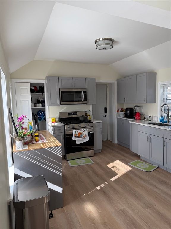 Interior, Kitchen, Stainless Steel Appliances, Wood Texture Flooring