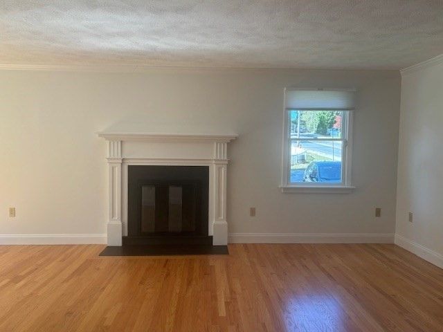 Empty room, Fireplace, Interior, Wood Texture Flooring