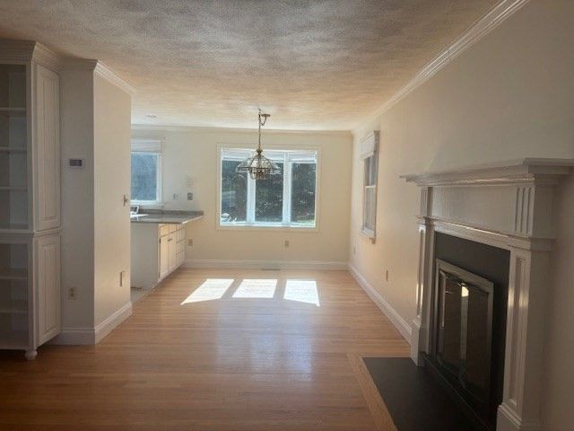 Empty room, Fireplace, Interior, Kitchen, Pendant Lights, Wood Texture Flooring
