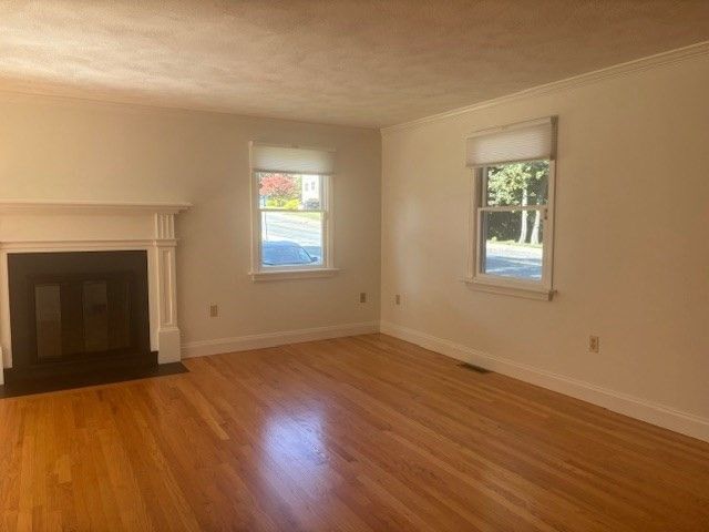 Empty room, Fireplace, Interior, Wood Texture Flooring