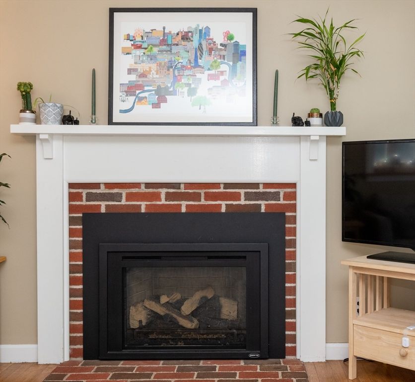 Fireplace, Interior, Wood Texture Flooring