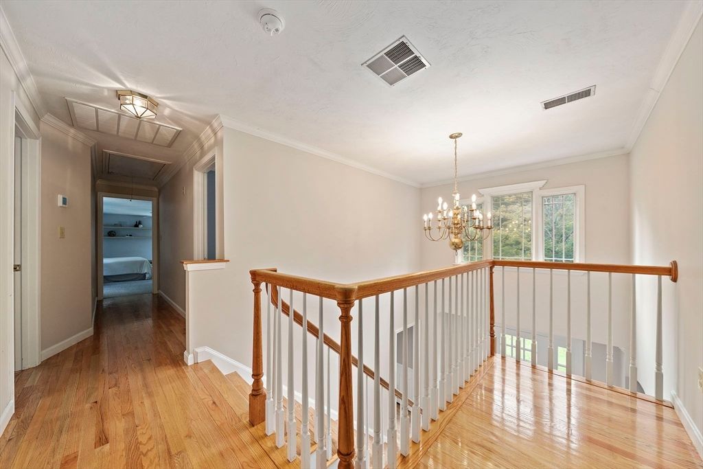 Chandelier, Interior, Wood Texture Flooring