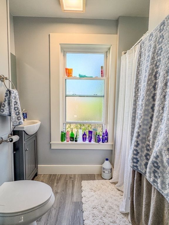 Bathroom, Interior, Wood Texture Flooring