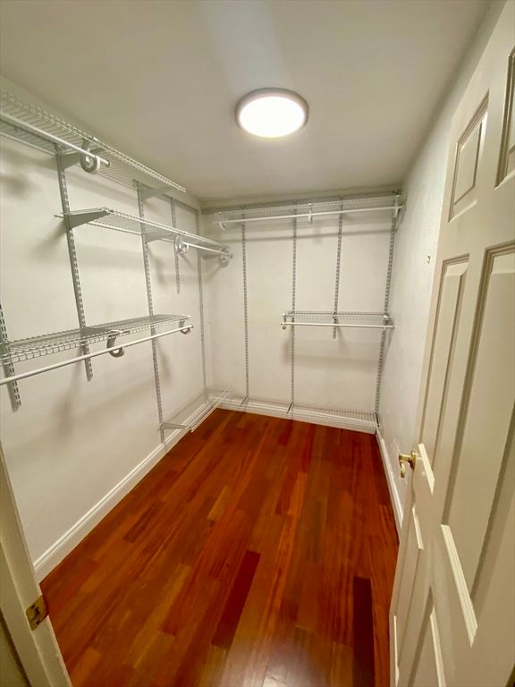Interior, Walk-in Closets, Wood Texture Flooring