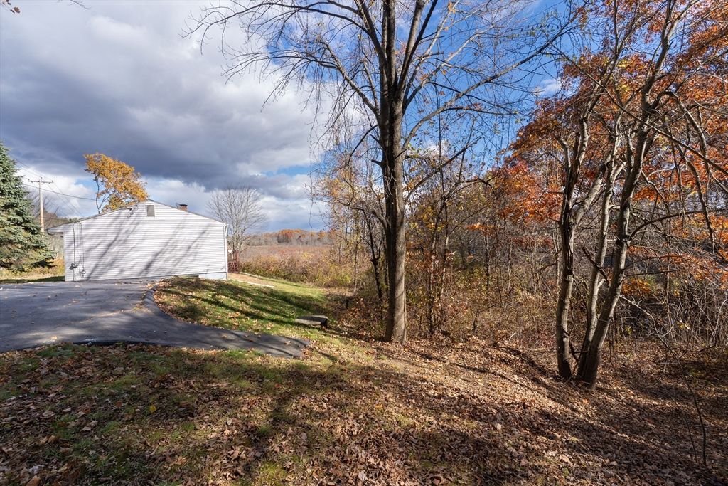 Backyard, Detached Garage, Exterior