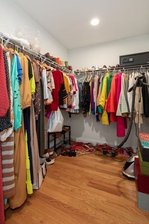 Interior, Recessed Lighting, Walk-in Closets, Wood Texture Flooring