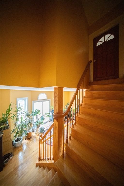 Interior, Wood Texture Flooring