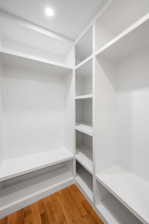 Interior, Recessed Lighting, Walk-in Closets, Wood Texture Flooring