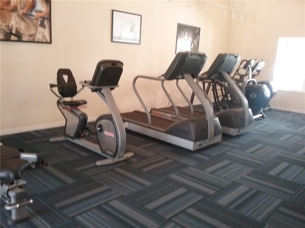 Fitness Equipment, Interior, Wood Texture Flooring