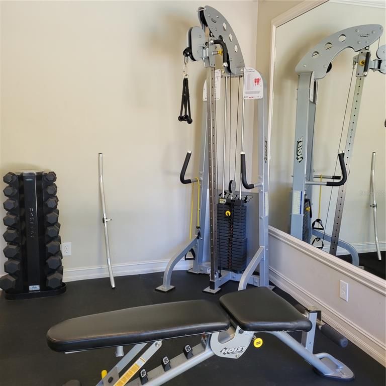 Fitness Equipment, Interior