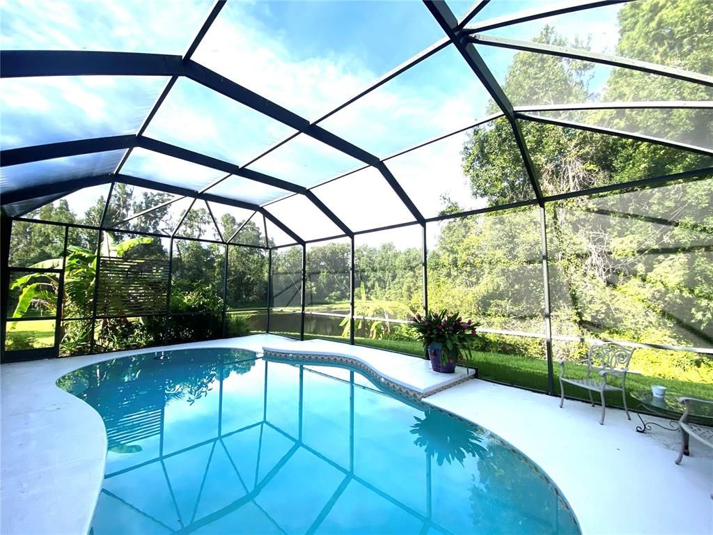 Glass Ceilings, Interior, Pool, Sun Room