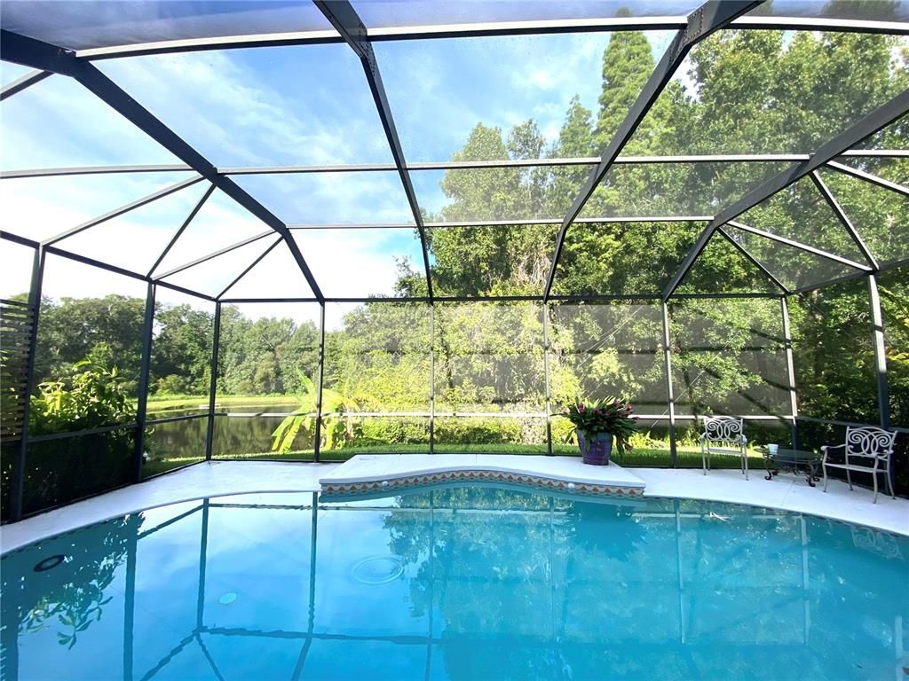 Glass Ceilings, Interior, Pool, Sun Room