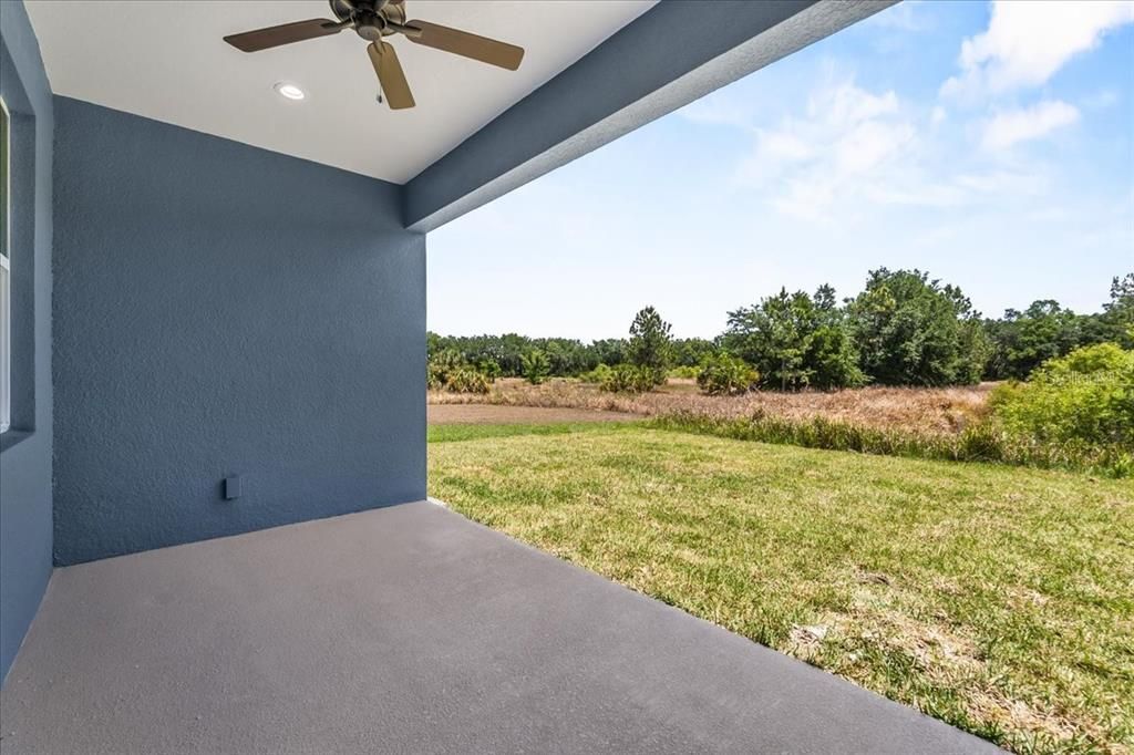 Backyard, Exterior, Recessed Lighting