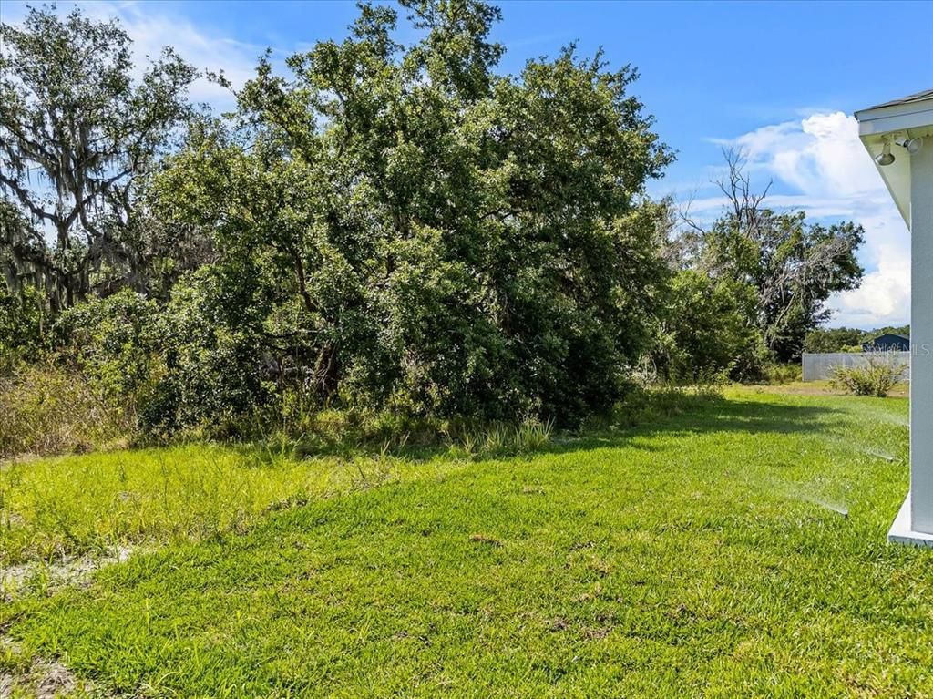 Backyard, Exterior