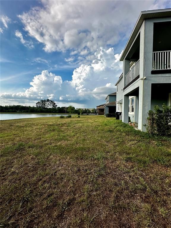 Backyard, Exterior, Water