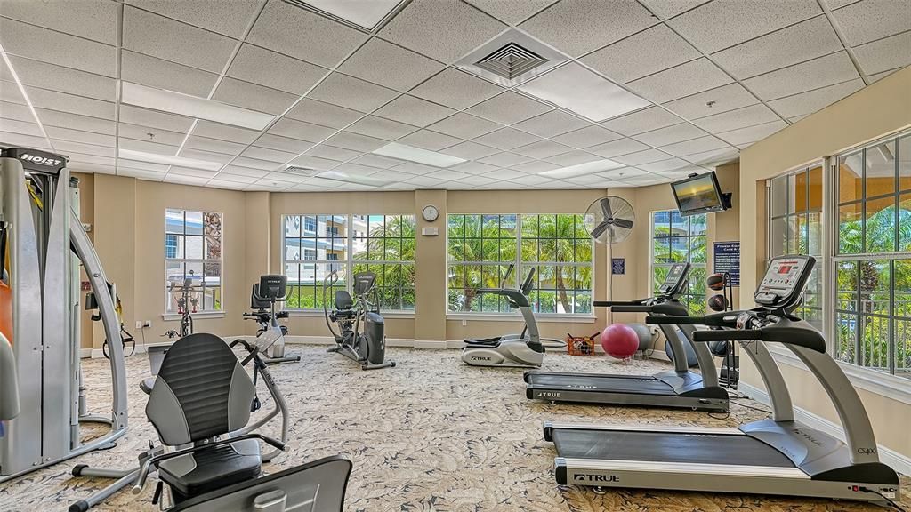 Fitness Equipment, Interior, Recessed Lighting