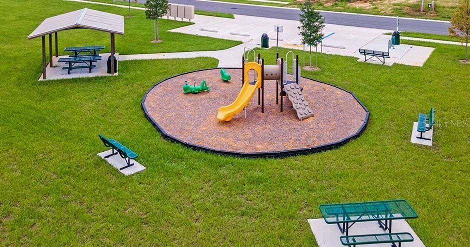 Backyard, Exterior, Playground