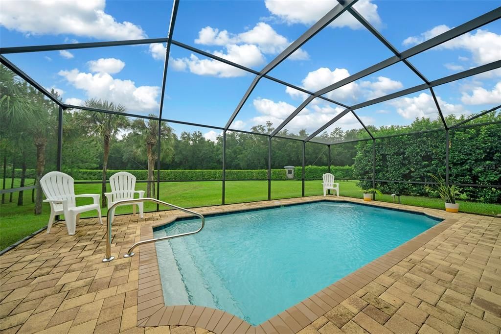 Glass Ceilings, Interior, Pool, Sun Room