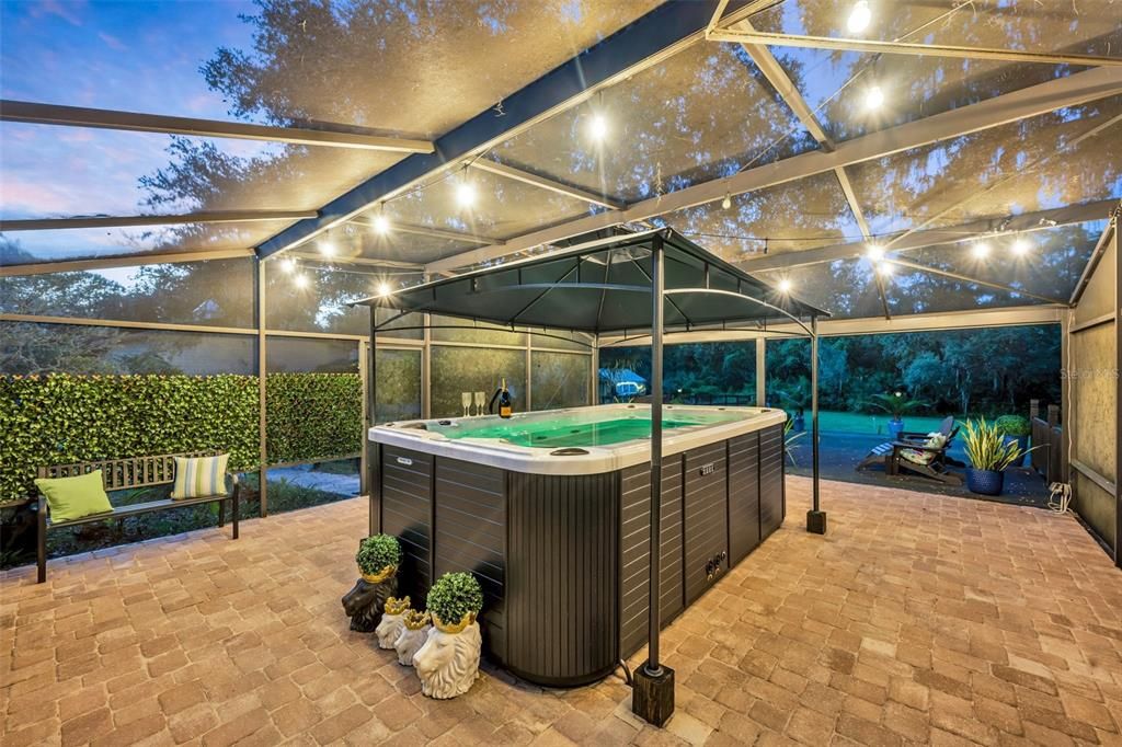 Glass Ceilings, Hot Tub, Interior, Sun Room