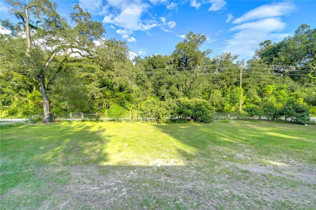 Backyard, Exterior