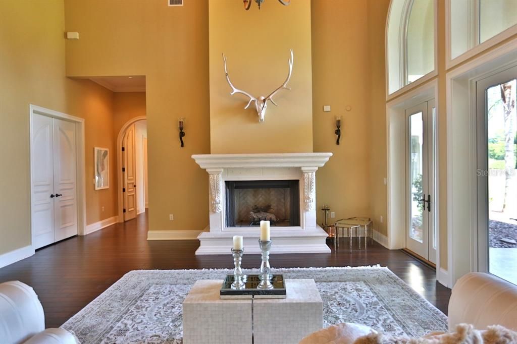 Chandelier, Fireplace, Interior, Wood Texture Flooring