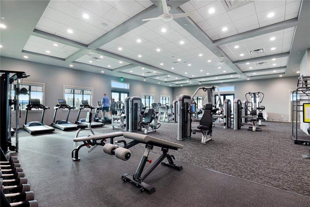 Fitness Equipment, Gym, Interior, Recessed Lighting